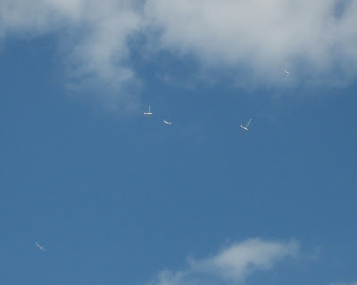 Gliders over Milton Keynes, Buckinghamshire