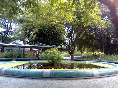 Garden at MSE side
