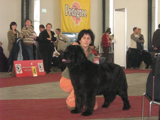 Качена снимка